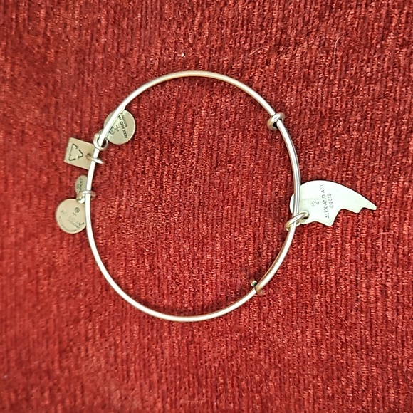 Alex and Ani Best Friends Rafaelian Silver Bangle Bracelet - Picture 3 of 6